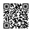 QR Code (код быстрого отклика)