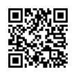 QR Code (код быстрого отклика)